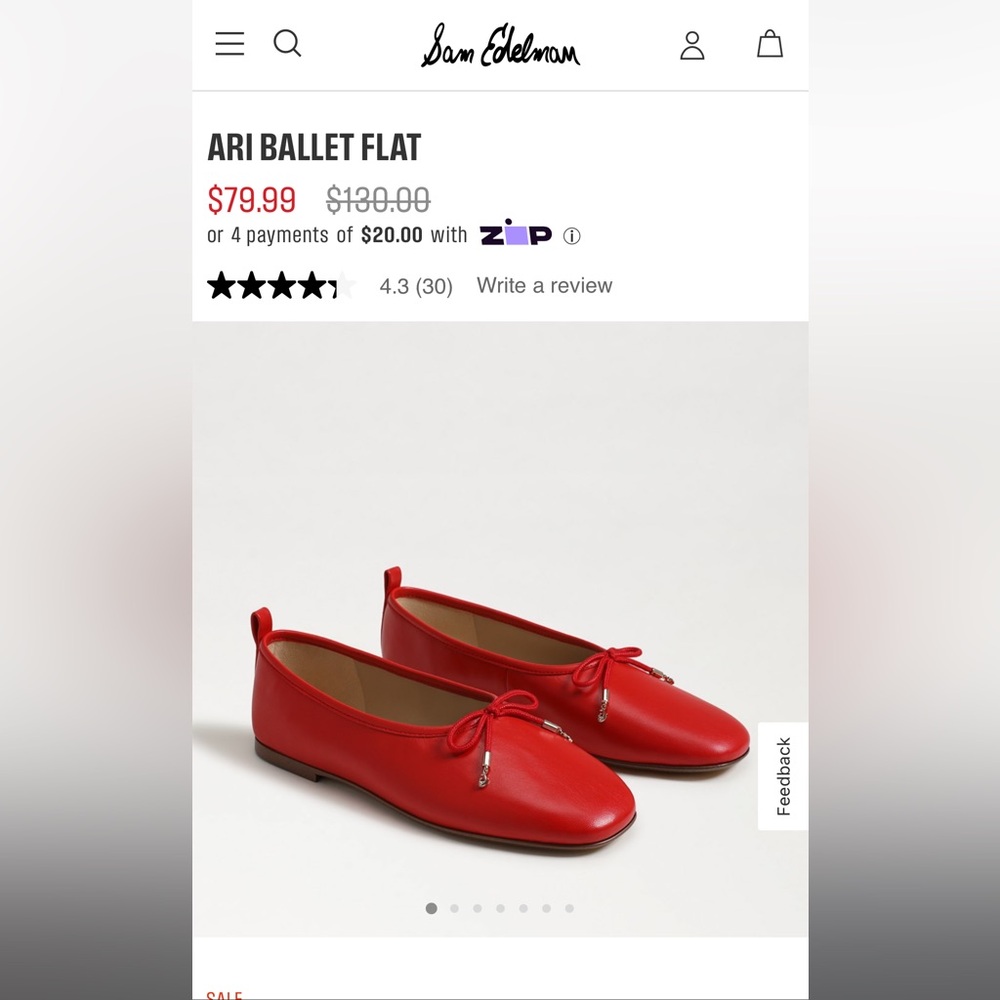 Sam Edelman Ari Flats ❤️